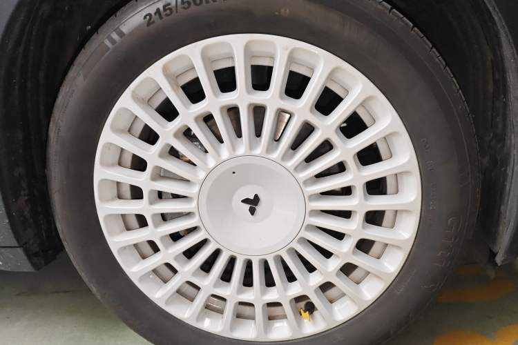 Used firefly 2025 Night Creature Special Edition