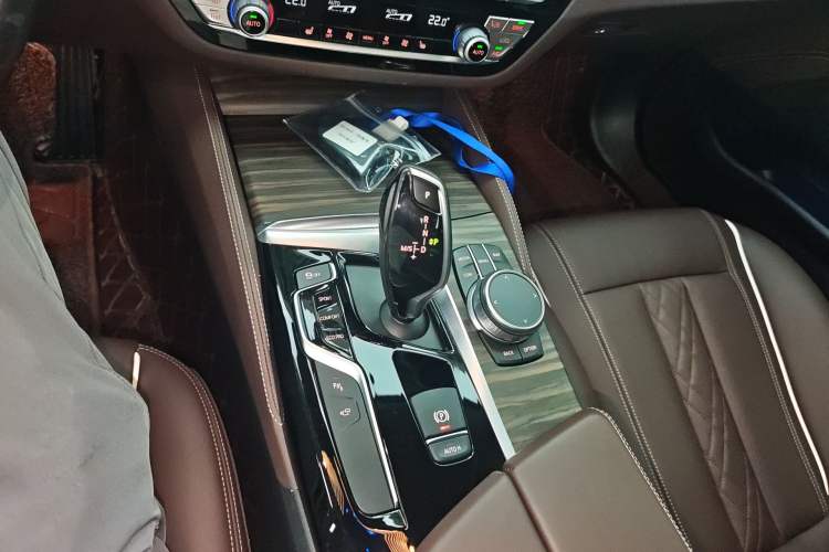 Used BMW 5 Series 2020 530Li Leading Edition Luxury Package