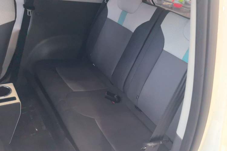 Used Qiyuan Lumin 2023 205km Xiangqin Version