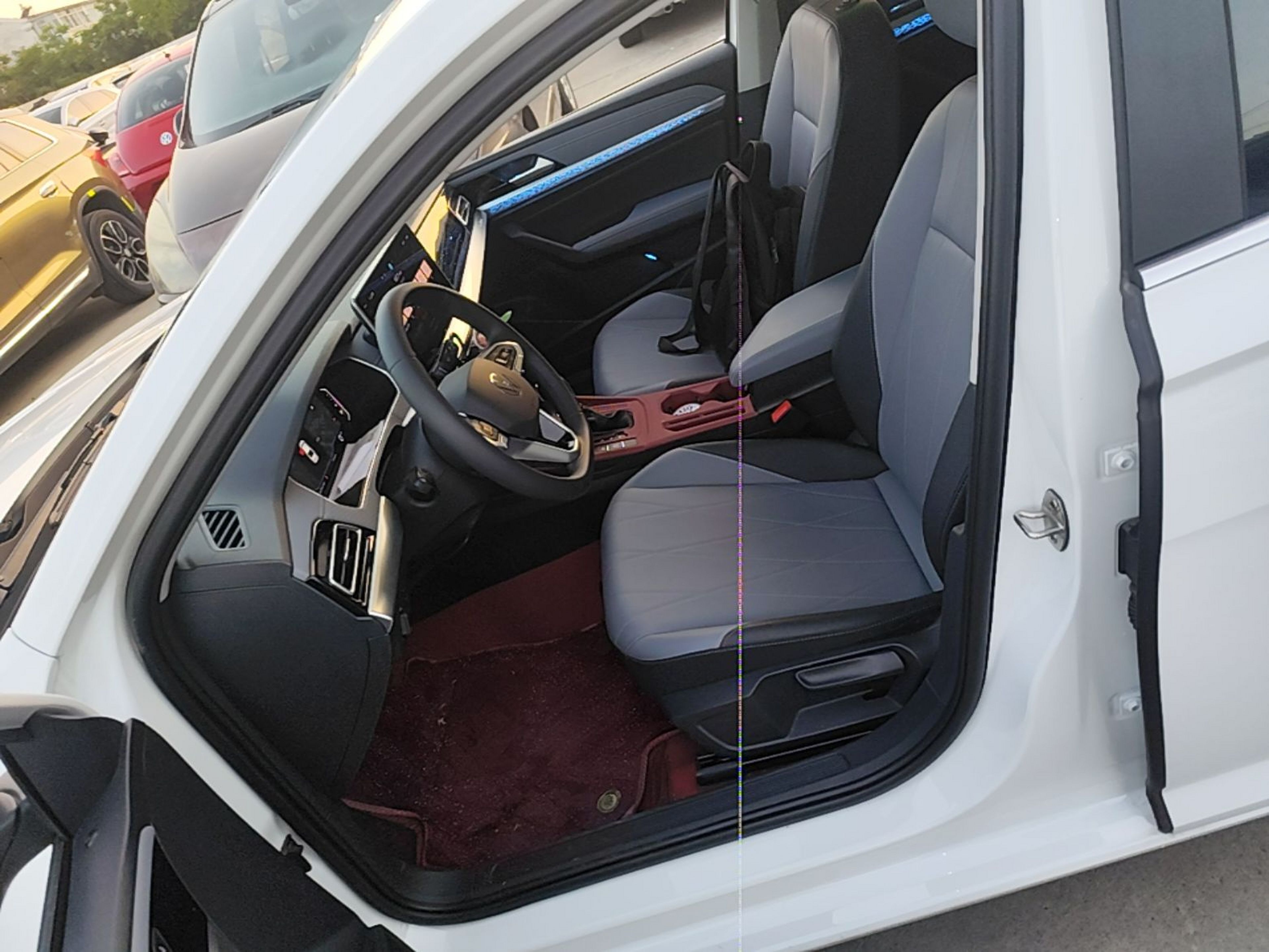 Interior delantero