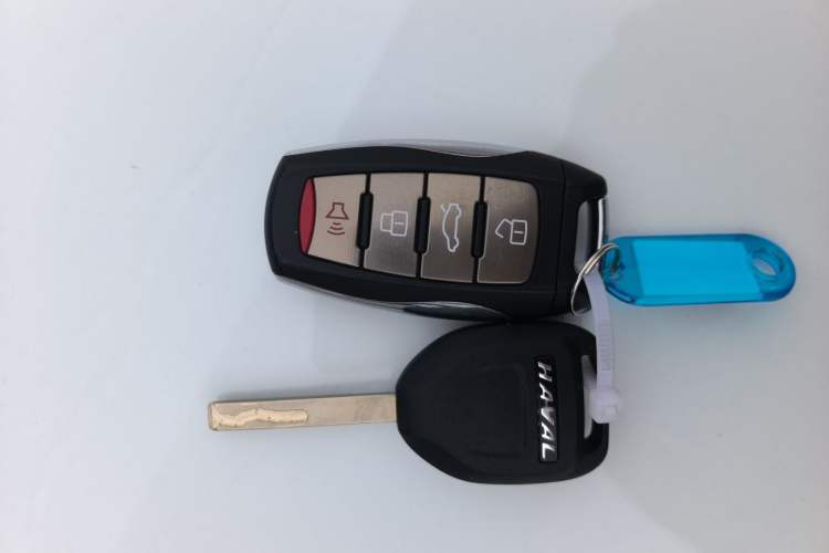 Used Haval H6 2023 National Trend Edition 1.5T Automatic Urban Version
