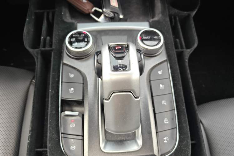 Used Tank 300 2021 City Edition 2.0T Essential Model
