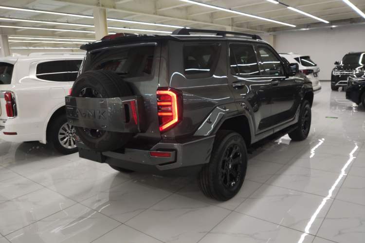 Used Tank 400 2025 2.0T Gasoline Version
