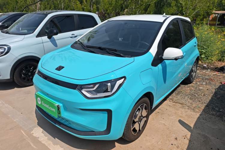 Used SOL E10X 2022 Flower Fairy Design Sunflower