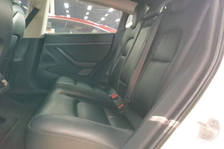 Used Tesla Model 3 2020 Standard Range Rear-Wheel Drive Upgraded Version
