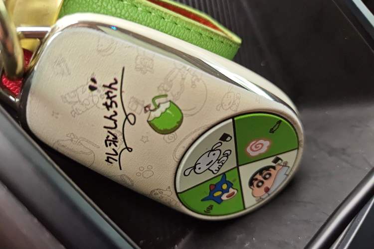 Used Nio ES6 2020 430KM Performance Version Vehicle Key