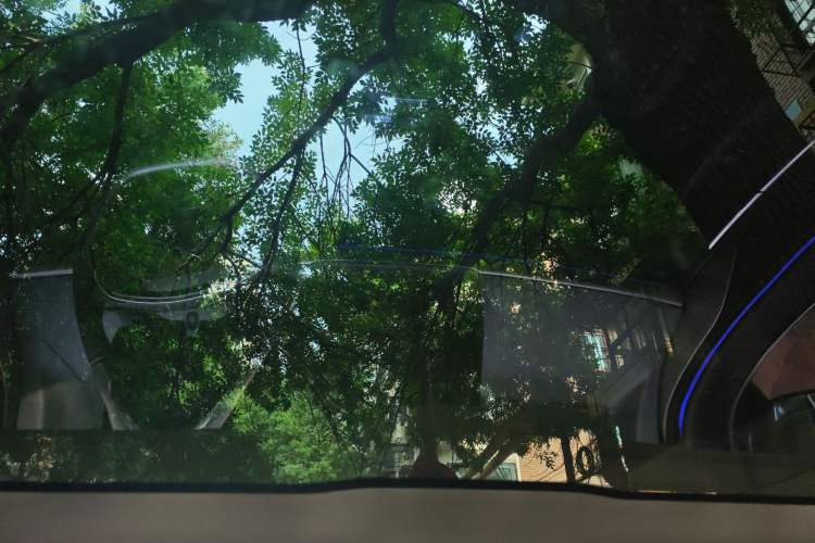 Used XPeng P7 2022 586G Headliner