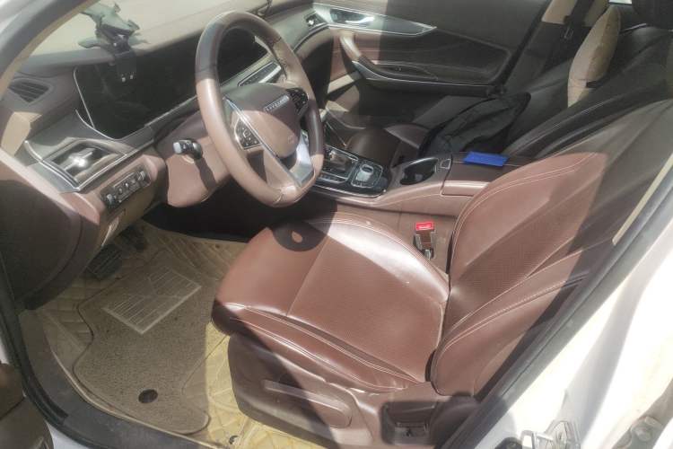 Used Leopaard Mattu 2018 1.6T GDI DCT Elite Model Left Front Seat