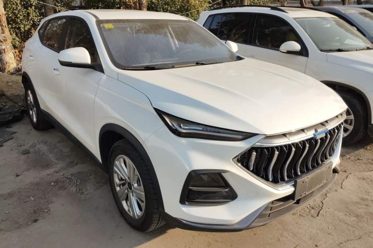 Used CHANGAN OSHAN X5 2021 Revised Version 1.6L Manual Luxury Edition
