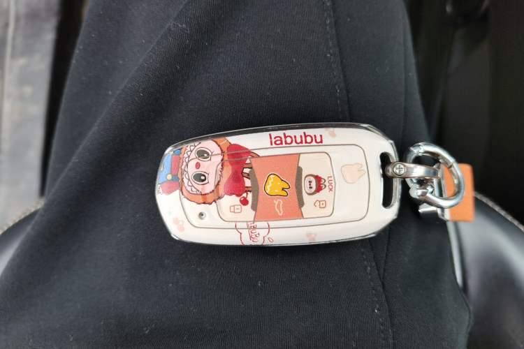 Used Geely Galaxy Panda 2024 Panda Mini 200km Endurance Bear Vehicle Key