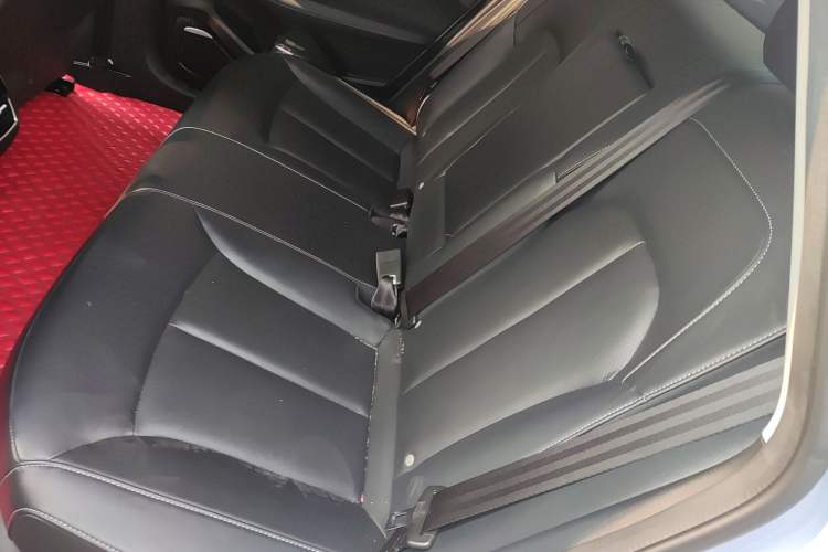 Used Rising ER6 2021 New Dynamic Edition 620km Smart Drive Version