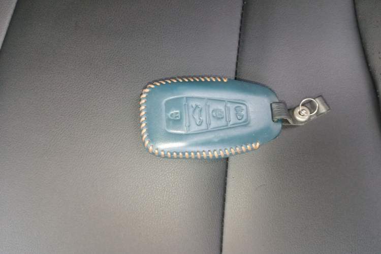 Used Geometry E Firefly 2022 320KM Cute Tiger 5-Seater