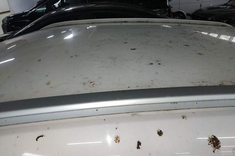 Used BYD e2 2020 Upgraded Version Long-Range Edition Luxury Model Roof