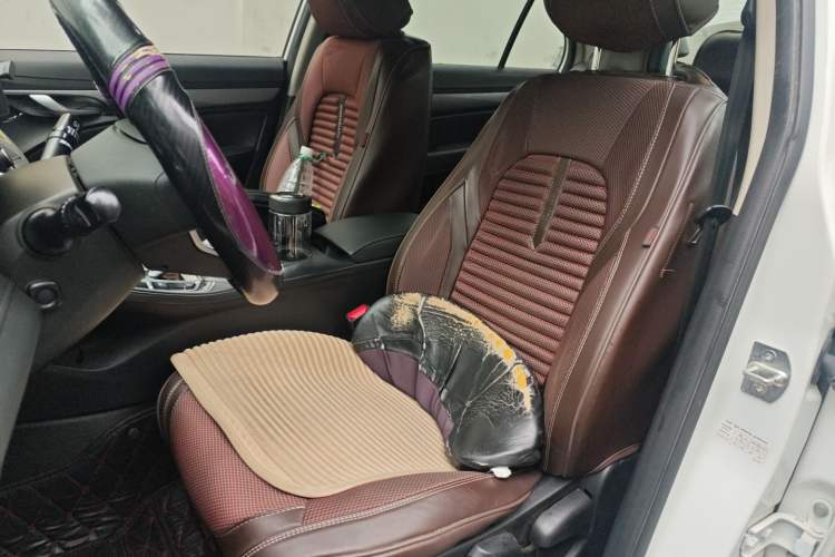 Used Geely Auto Emgrand New Energy 2019 EV500 Ambition Standard Range Edition Left Front Seat