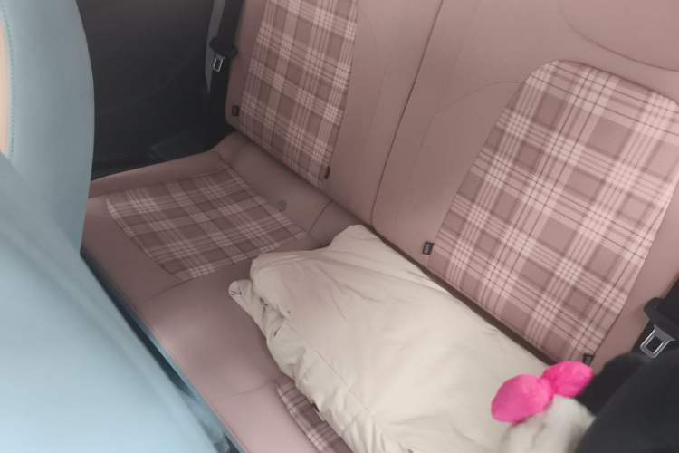 Used Chery QQ Ice Cream 2024 Edition Youth Version 205km Sundae