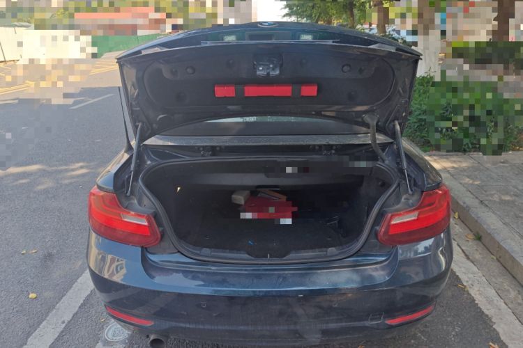 Used BMW 2 Series 2015 218i Convertible Coupe