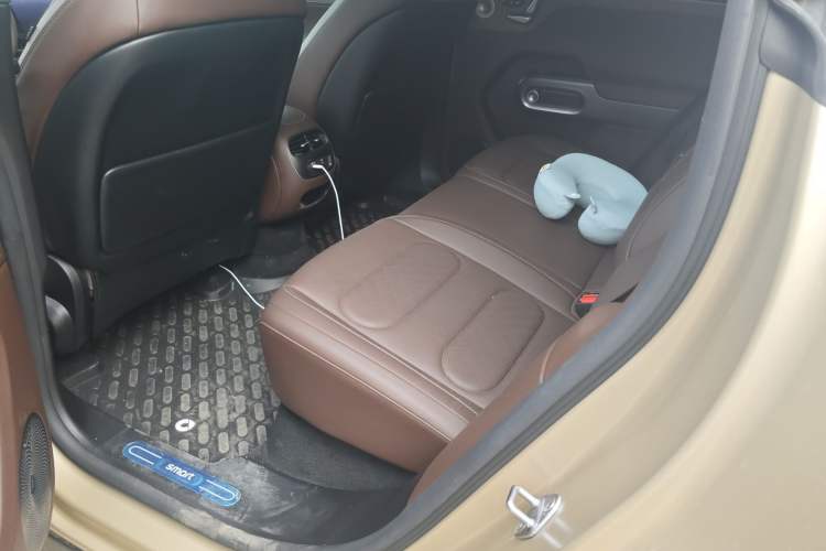 Used smart #5 2024 Ultra-Long Range Extraordinary Journey Luxury Edition
