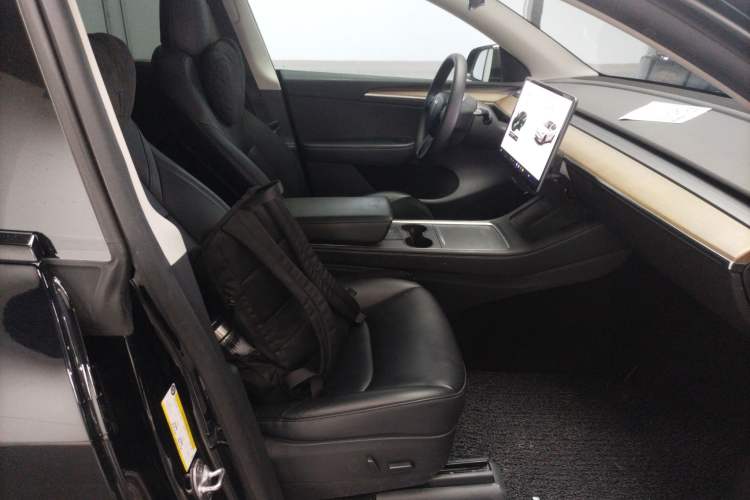 Used Tesla Model Y 2021 Standard Range Rear-Wheel Drive Version
