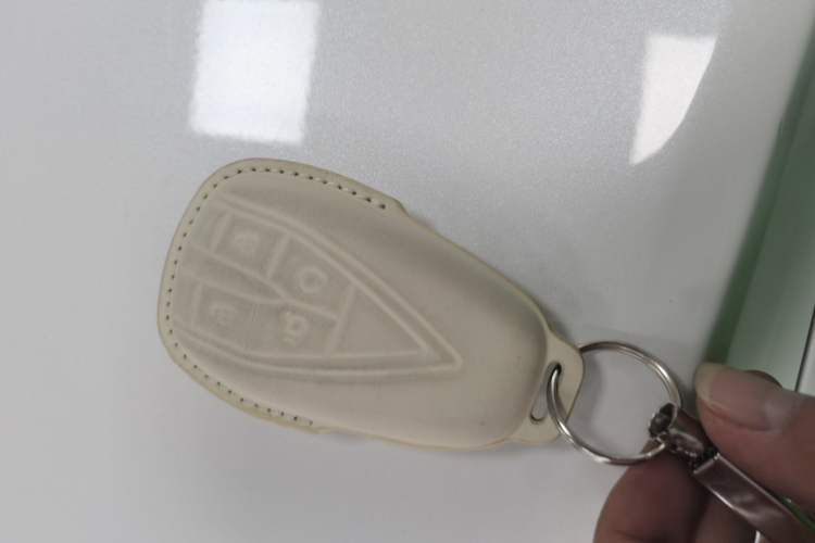 Used Oshan X5 2021 1.5T DCT Prestige Edition
