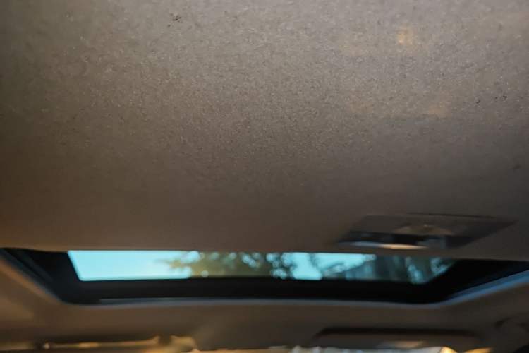 Used Mazda CX-7 2011 2.5L Luxury Edition Headliner