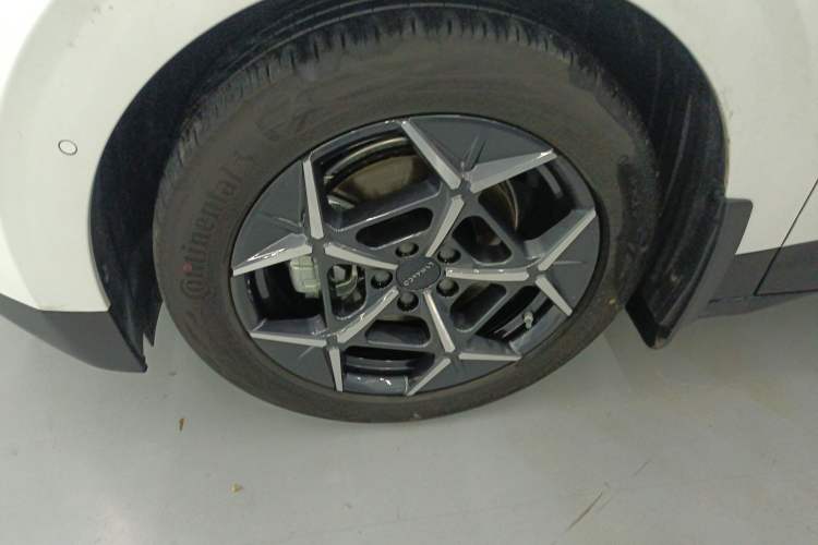 Used Lynk & Co Z20 2025 530 km Range Rear-Wheel Drive Max