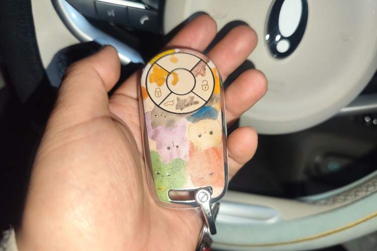 Used ORA Good Cat 2023 401 km Standard Range Luxury Version Lithium Iron Phosphate
