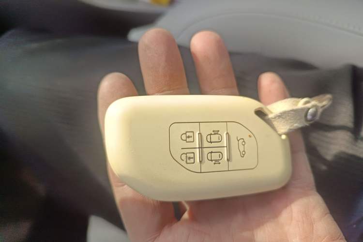 Used FORTHING Xinghai V9 2024 1.5TD 200km Chinese Knot Series Premium Edition