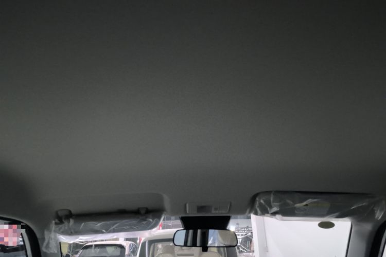 Used Qiyuan Lumin 2026 Model Treasure Edition 205km Passionate Beige Ningde