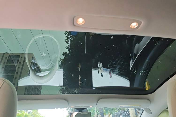 Used Tesla Model 3 2020 Refreshed Version Long-Range Rear-Wheel Drive Headliner