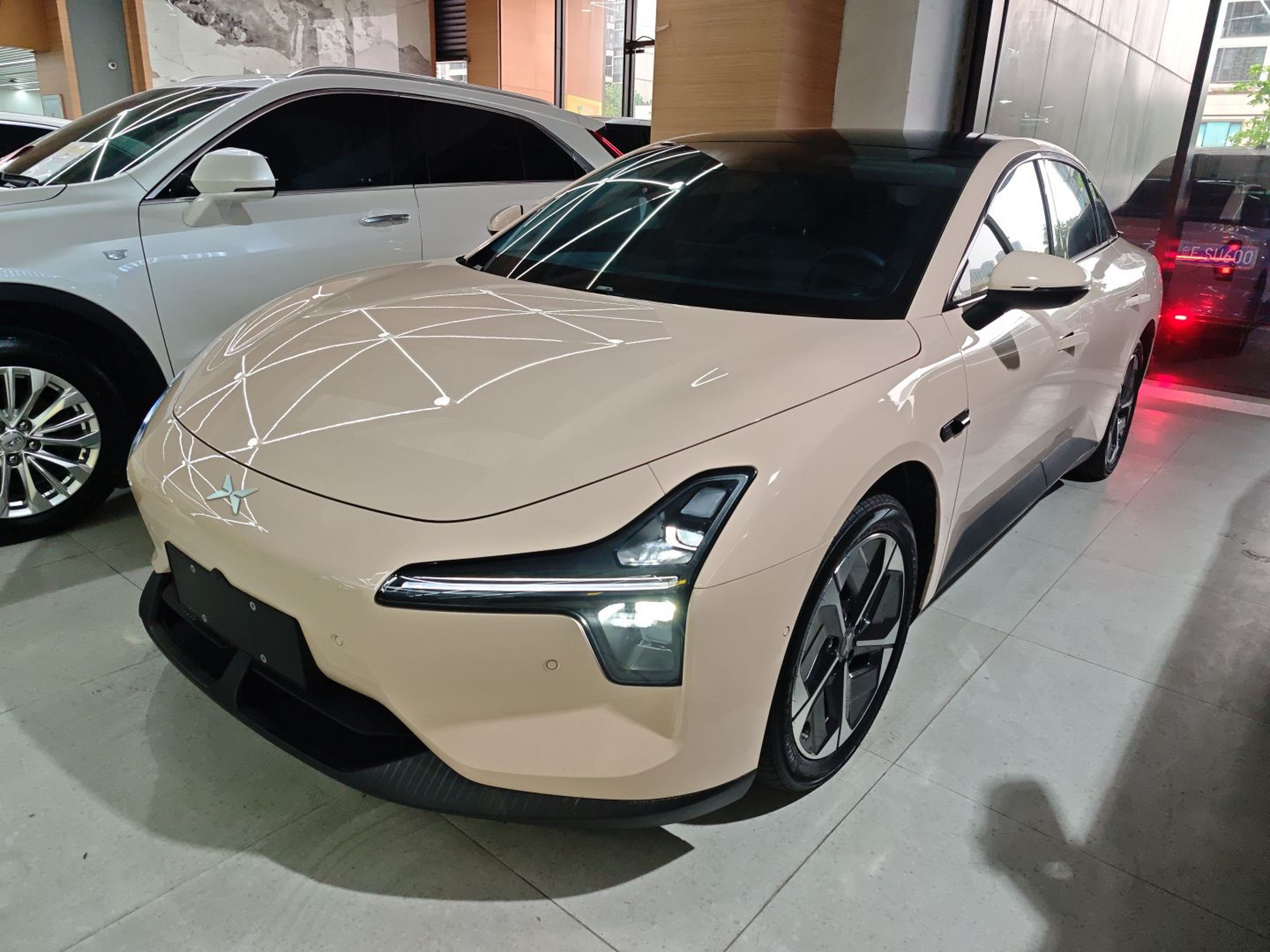 Parte inferior delantera