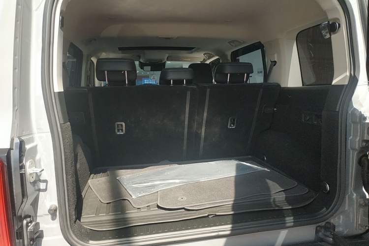 Used Tank 300 2021 City Edition 2.0T—Truly Stylish