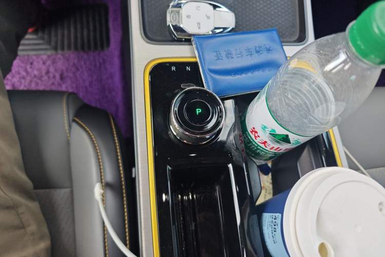 Used AION Y 2021 70 Tech Vitality Edition Gear Lever