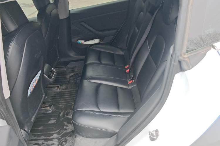 Used Tesla Model 3 2020 Standard Range Rear-Wheel Drive Upgraded Version
