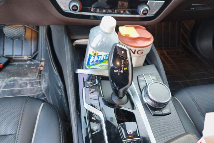 Used BMW 5 Series 2021 530Li Leading Model M Sport Package