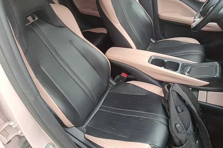 Used BYD Seagull 2023 Flying Edition Right Front Seat