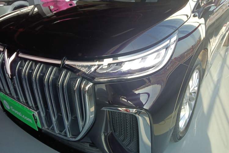 Used VOYAH Dream 2022 Low-Carbon Edition Home
