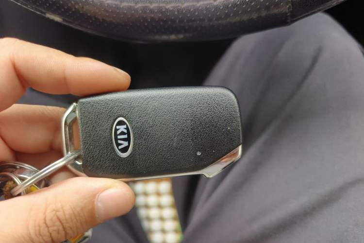 Used Kia Sportage R 2019 2.0L Automatic Smart Luxury Edition