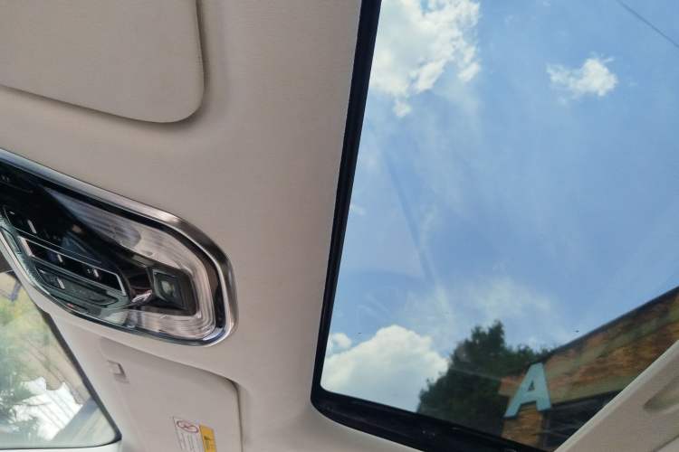 Used Wey Gaoshan 2023 Four-Wheel Drive Flagship Edition Headliner