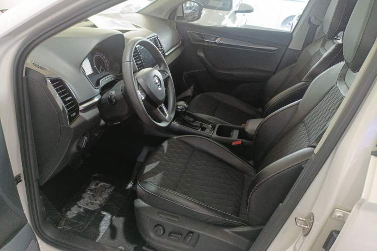 Used Skoda Karoq 2020 TSI280 Smart Drive Technology Edition China VI Left Front Seat