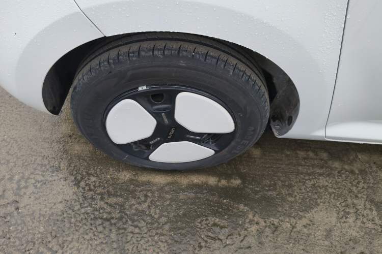 Used Qiyuan Lumin 2023 205km Xiangqin Version