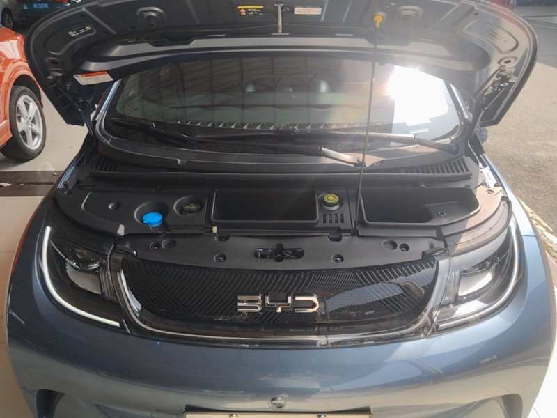 Used BYD Dolphin 2024 Honor Edition 420km Fashion Version — 19
