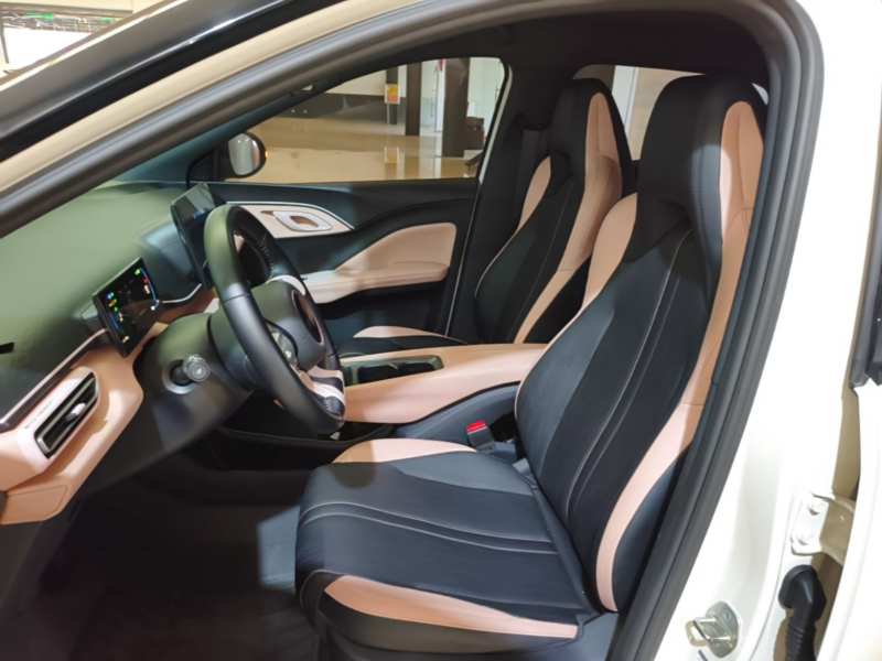 Used BYD Seagull 2025 305 km Free Version — 14