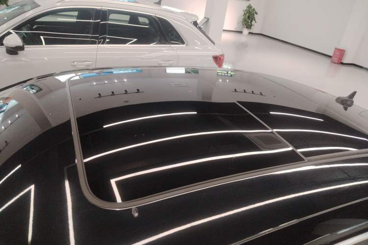 Used Volkswagen Magotan 2020 330TSI DSG Luxury Edition Roof