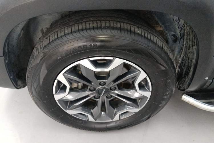 Used Haval DARGO 2024 2.0T DCT Chinese Rural Dog Edition
