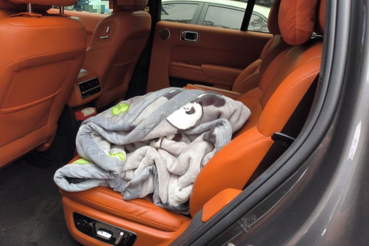 Used Li Auto L8 2023 Max model