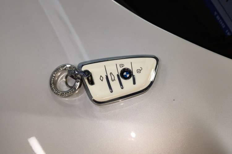 Used BMW X1 2019 sDrive20Li Leading Model Vehicle Key