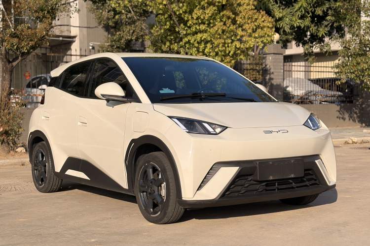 Used BYD Seagull 2023 Flying Edition