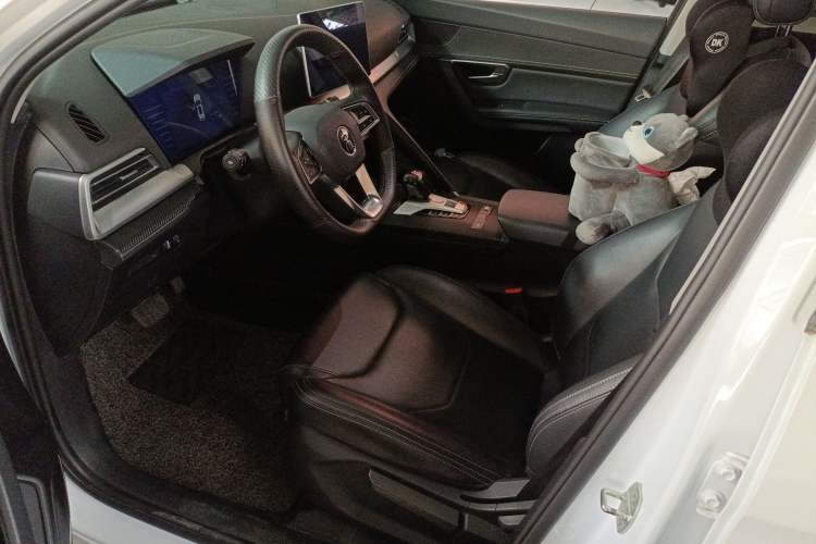 Used BYD Song Pro 2019 1.5T Automatic Luxury Model Left Front Seat