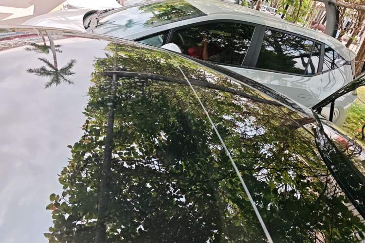 Used Tesla Model 3 2021 Standard Range Rear-Drive Upgraded Version Roof