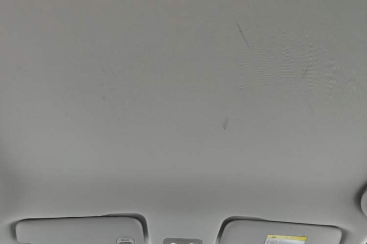 Used NETA V 2021 Long-Range Entertainment Edition Upgrade Model